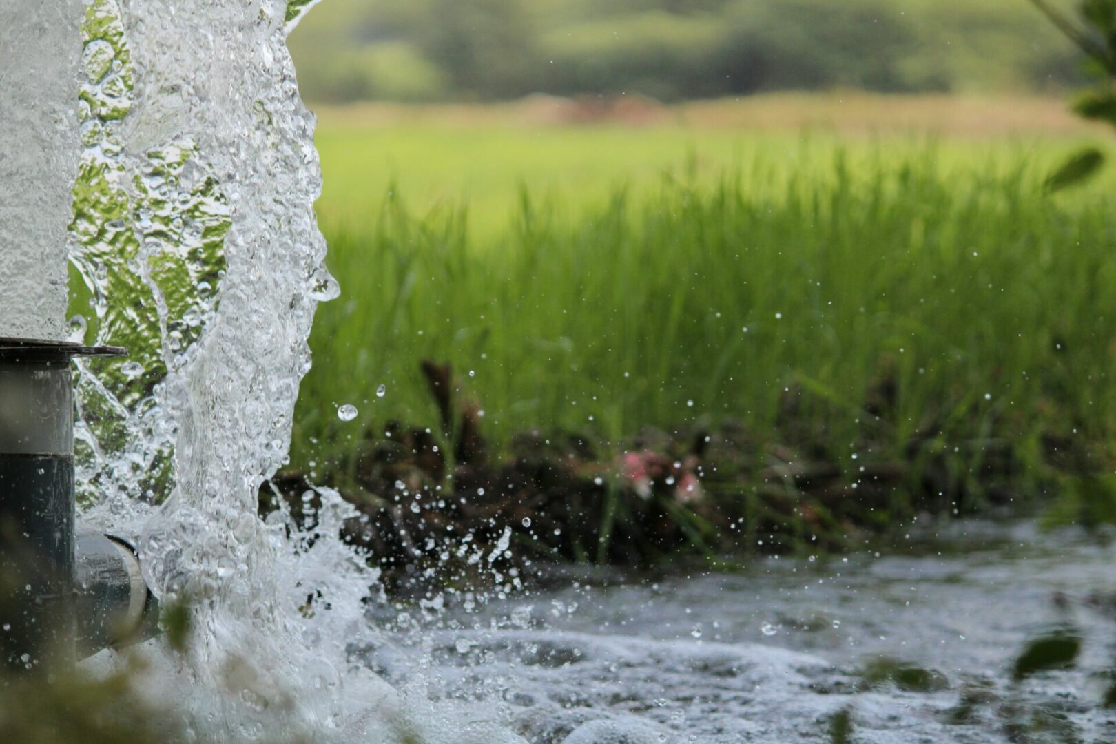 Sushant sodanwar lobwa2skknc unsplash